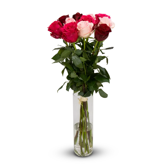 Ecuadorian roses